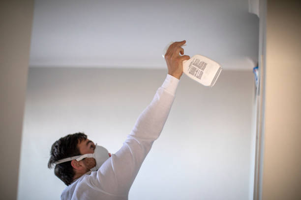 Best Mold Testing  in Douglas, MI