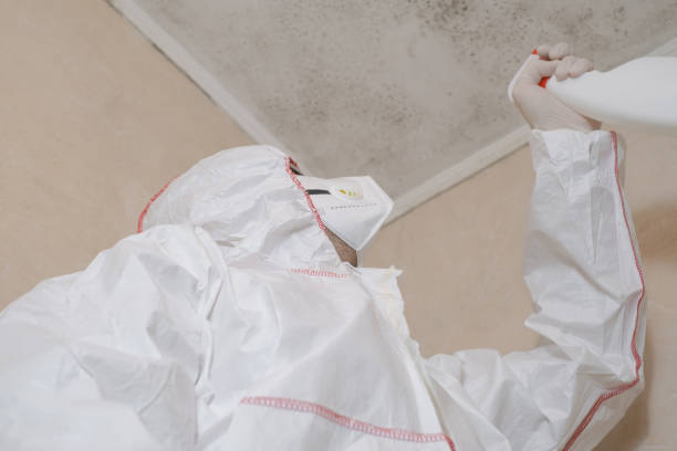 Best Mold Remediation  in Douglas, MI