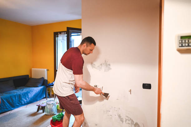Best Local Mold Removal Service  in Douglas, MI